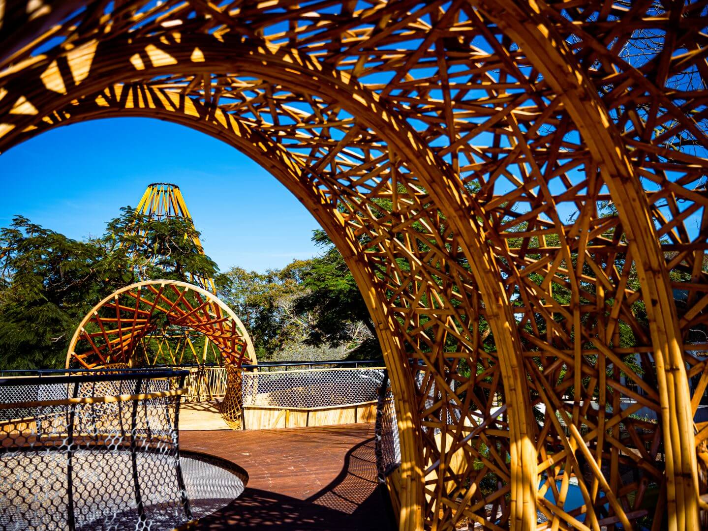 slide תמונה מספר 2