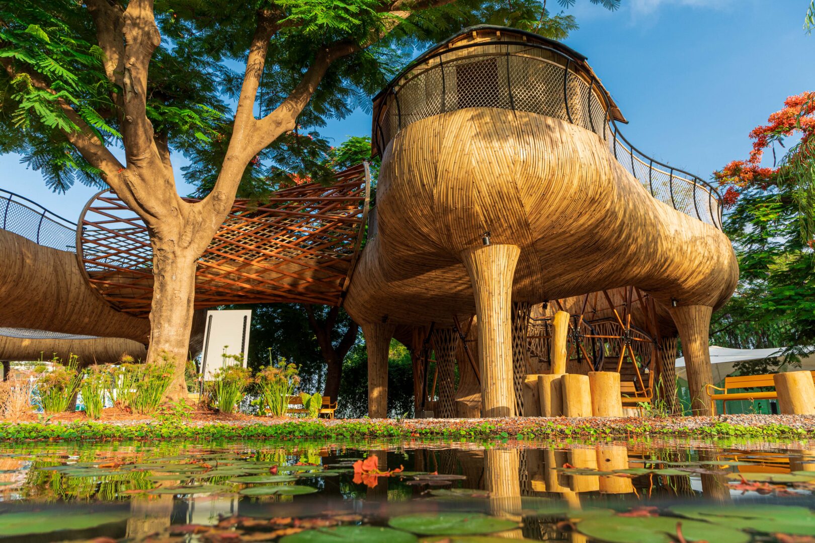 slide תמונה מספר 1