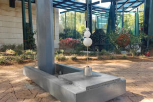 כדורים קופצים