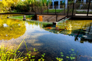 אקוויריום הפוך