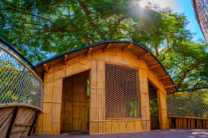 הכל ארץ - בית בין העצים 1