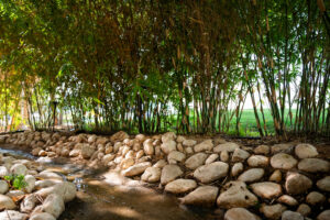 הכל ארץ נחל אכזב 1