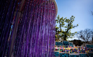 הכל חומר - אלסטיות 1