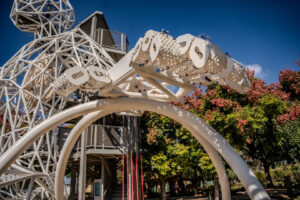 הכל חי - יד שמאל 2