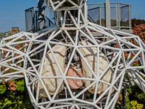 הכל חי - מערכת הלב 4