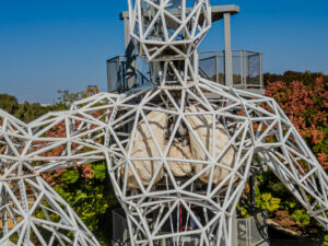 הכל חי - מערכת הנשימה 1