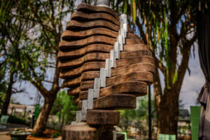 הכל מח - לסחרר את העץ1