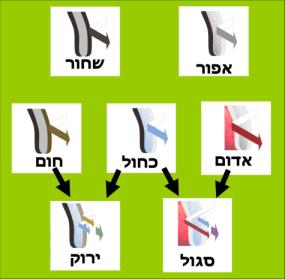 מדוע צבע העיניים של תינוקות משתנה? אלה