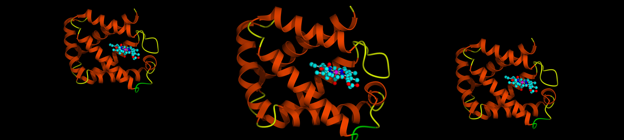 מהם אנזימים?