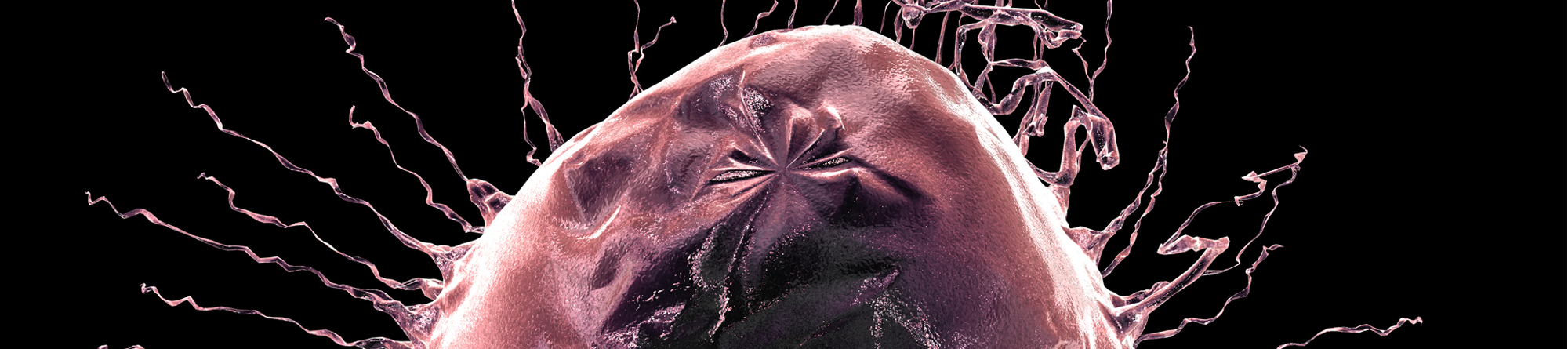 מפלי ריכוזים כמקור אנרגיה