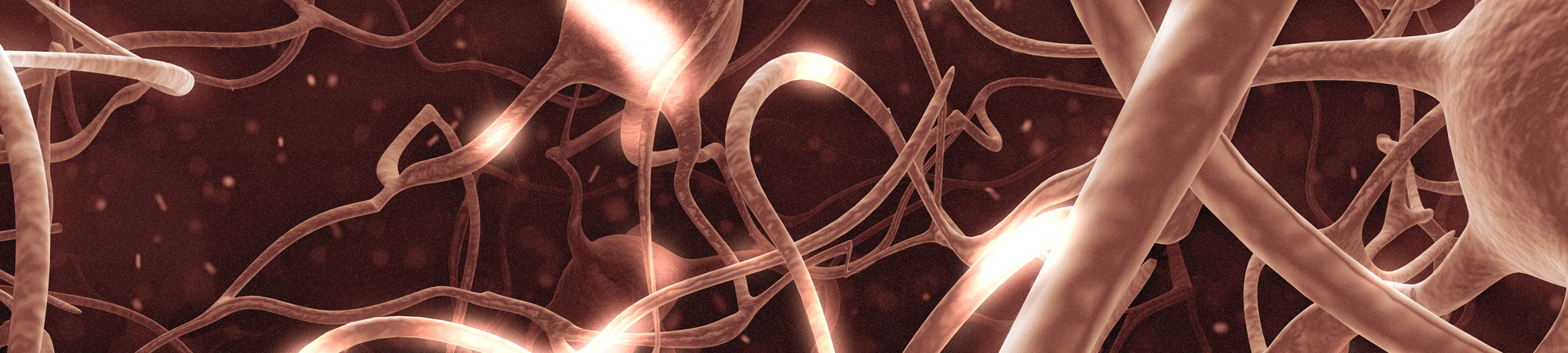 אפופטוזיס – כשהתא מחליט להתאבד