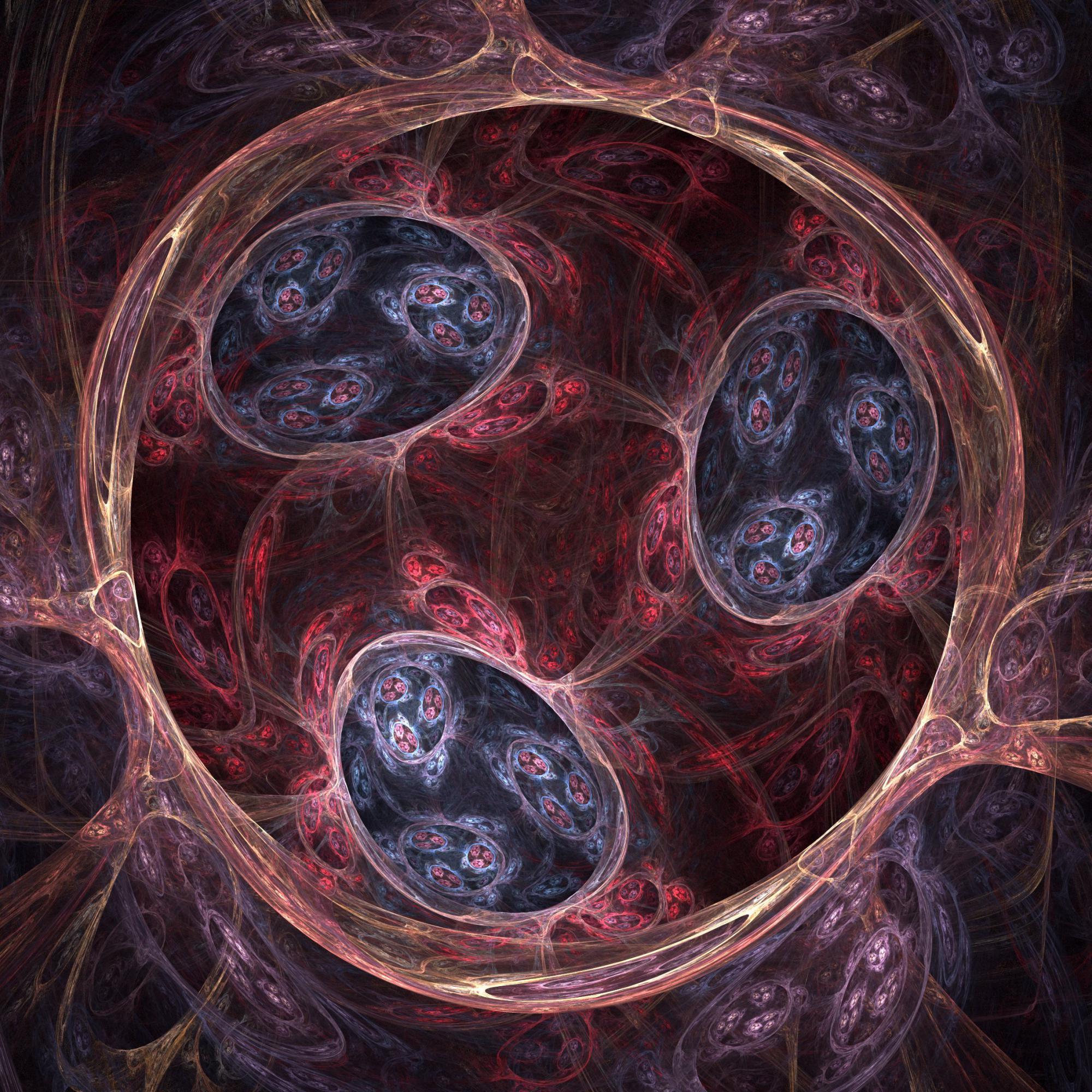 הממברנה – קרום התא