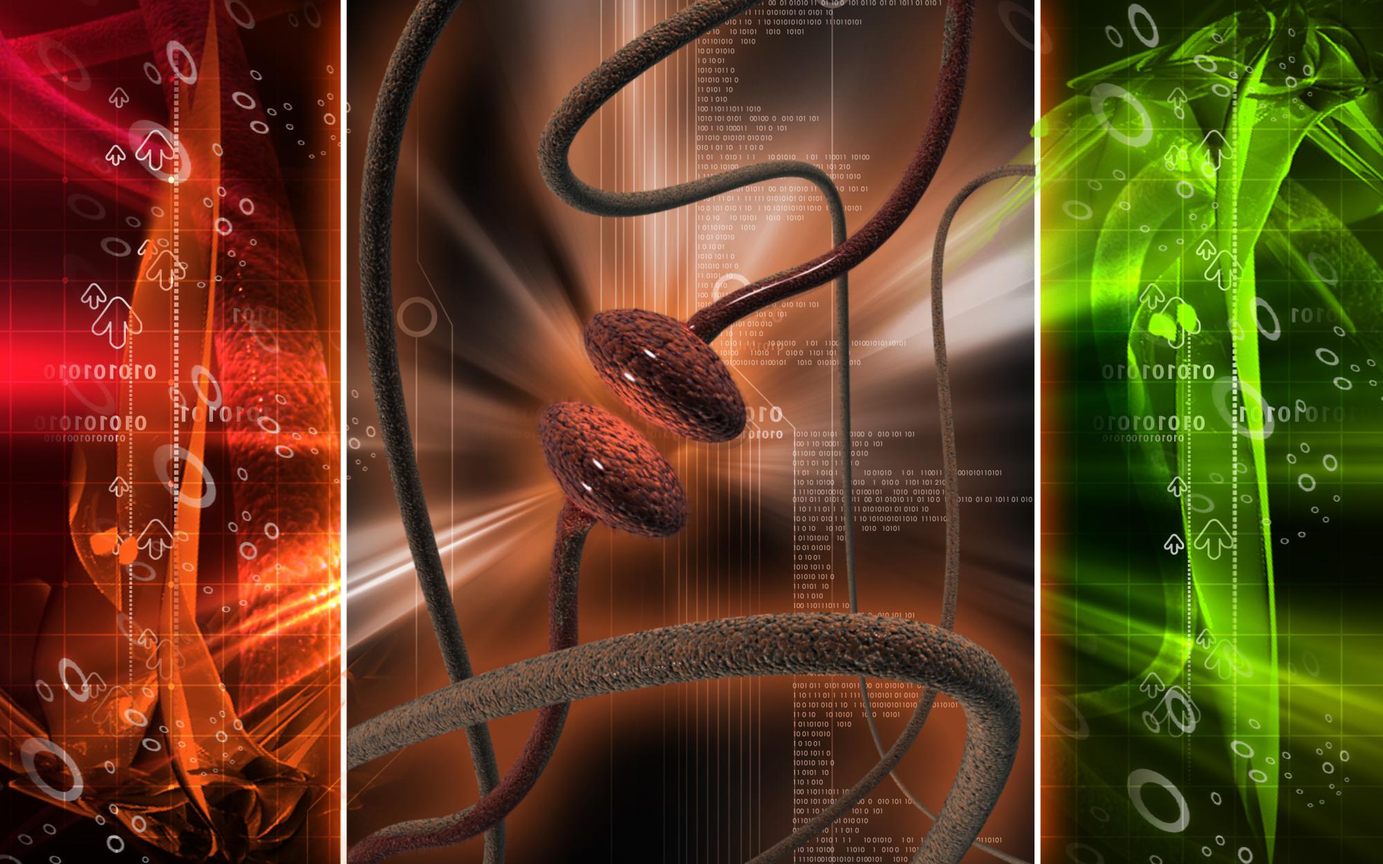 מסע אל מסתורי התא