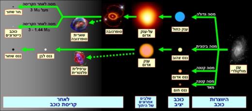 מהו מחזור חייו של כוכב? עידית
