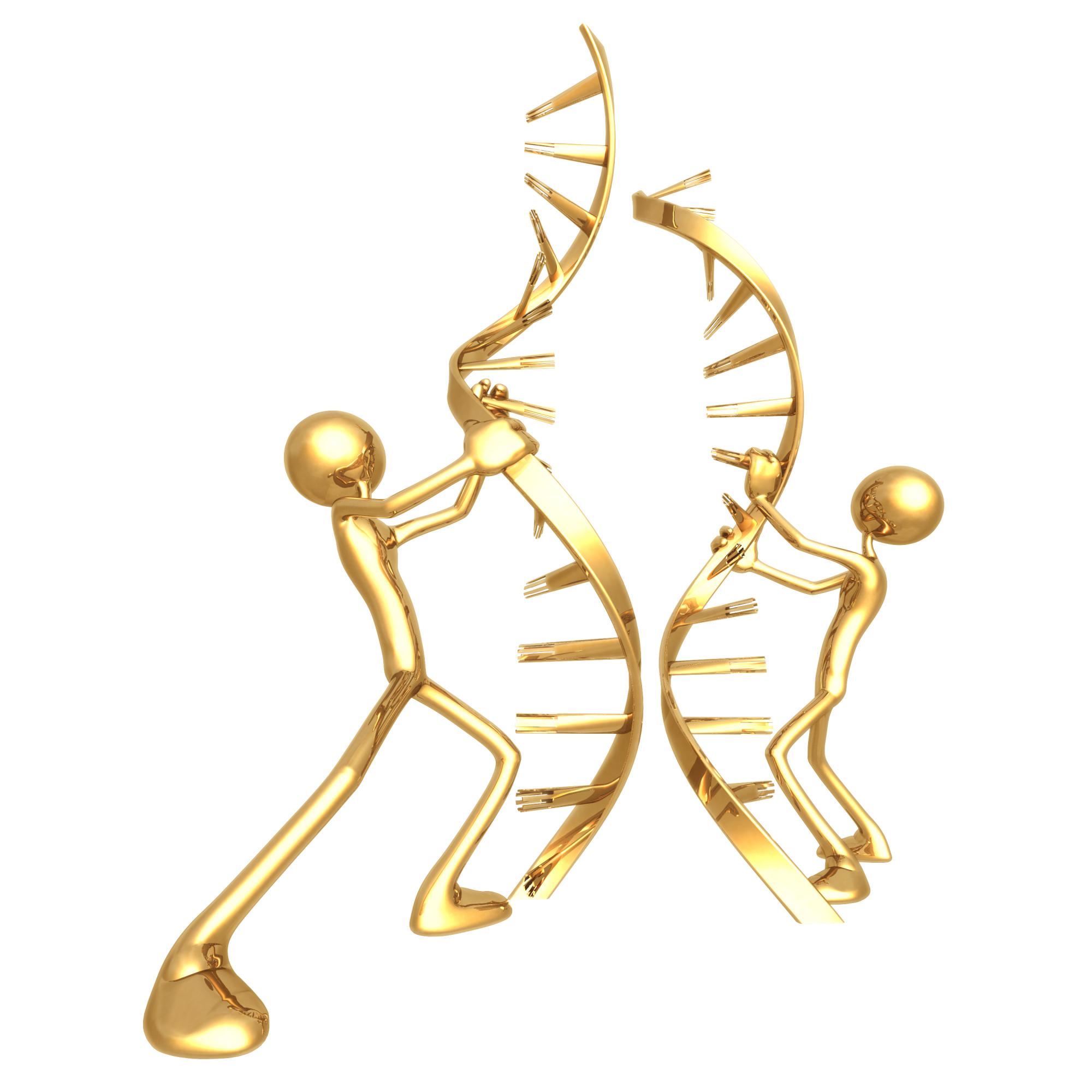 הגשר שבין הזהב לדנ”א