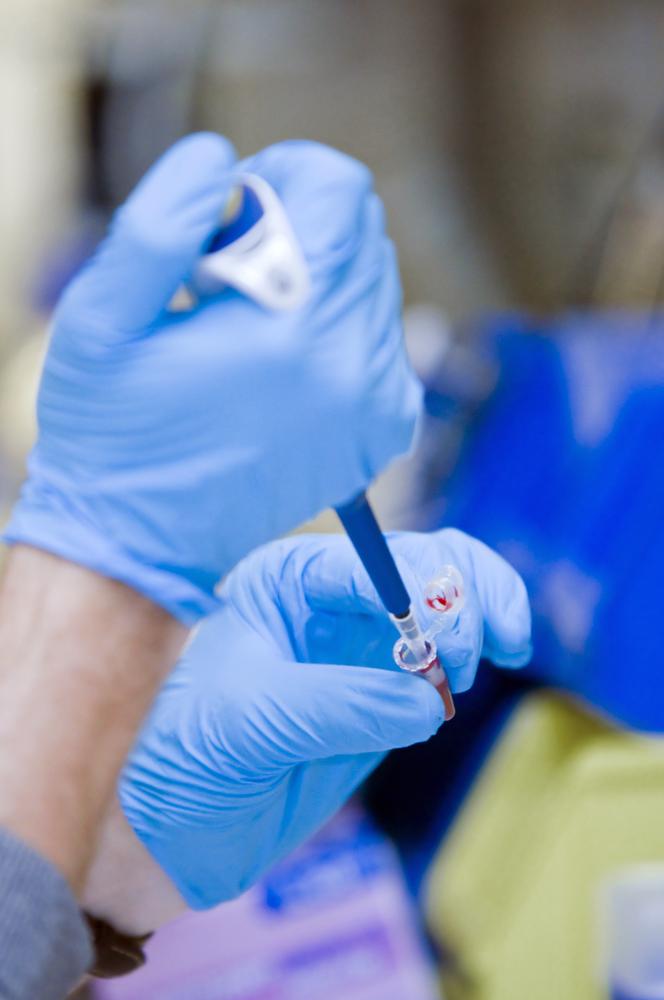 לומדים מהסלמנדרה לגדל איברים אנושיים