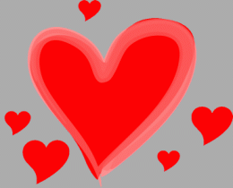 האם יחסים חד-מיניים ידועים רק בבני אדם או גם בחיות? חגית