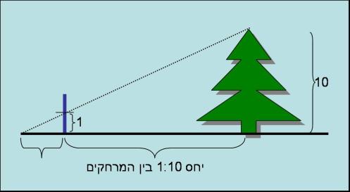 שמעתי שניתן למדוד גובה של עץ ע”י מקל האם הדבר נכון? חיים