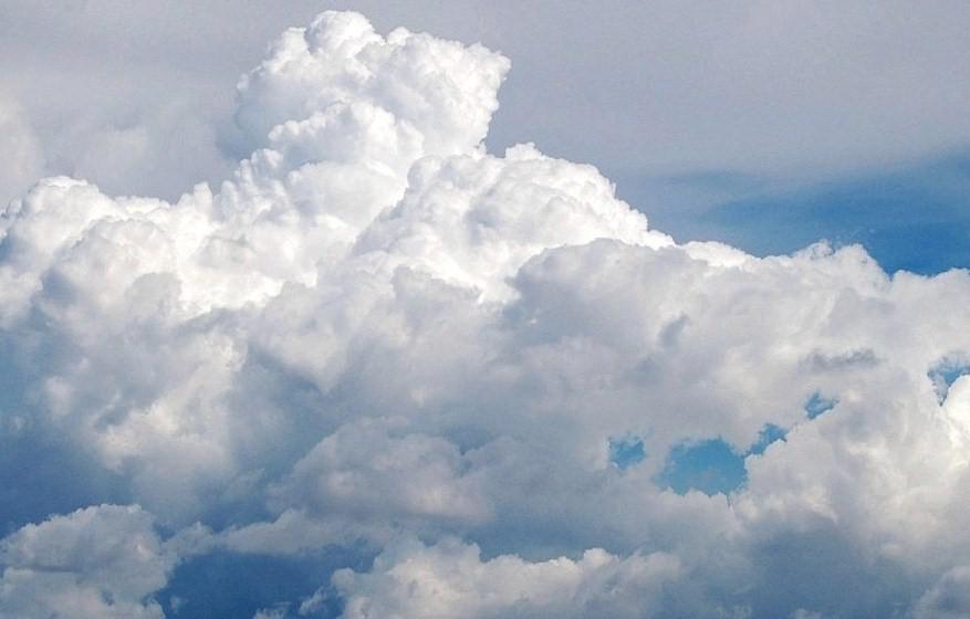 מה זה התעבות? ארז, לידור