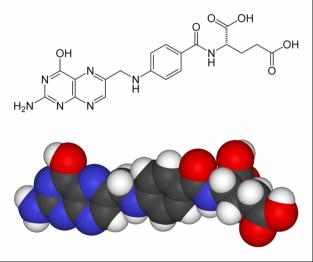האם מגע עם חומצה פולית מסוכן? ניקול