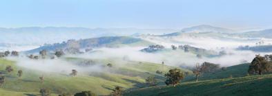 כיצד נוצר ערפל? זיו