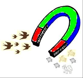 האם יש לשדה המגנטי של כדור הארץ השפעה על בעלי חיים? טמיר