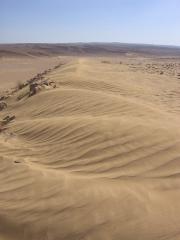 למה צבע חול הים זהוב? מיכל