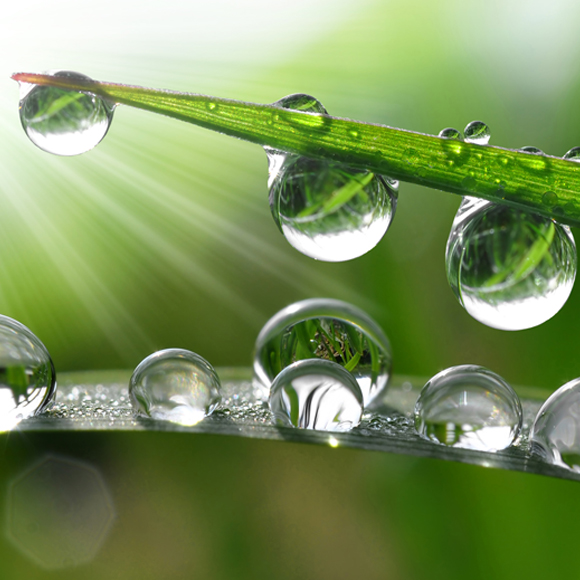 מהי תופעת הנימיות ומה השפעת הכבידה?