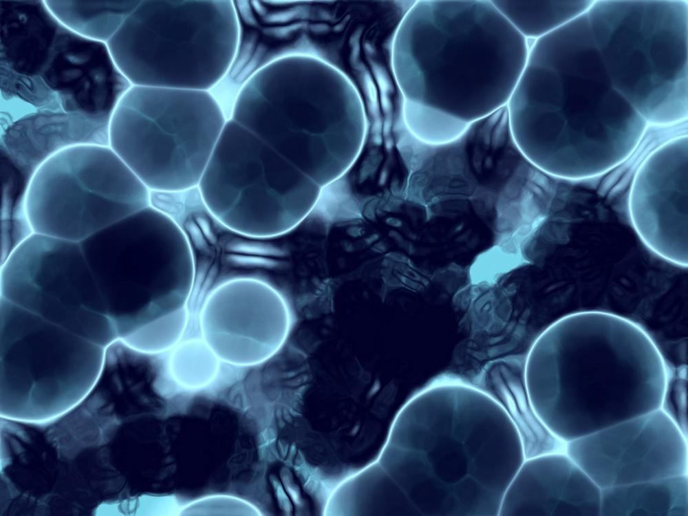 ההורמונים – מולקולות קטנות, תפקיד גדול