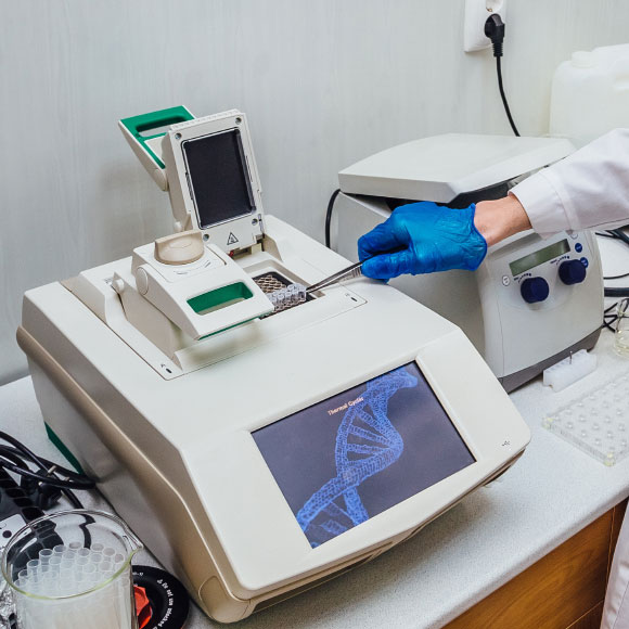 איך עובדת טכנולוגיית ה-PCR?