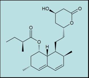 מה זה סטטין? תמר