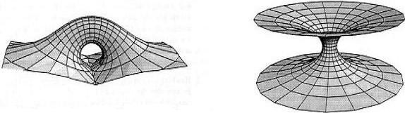 מהו חור תולעת? רון