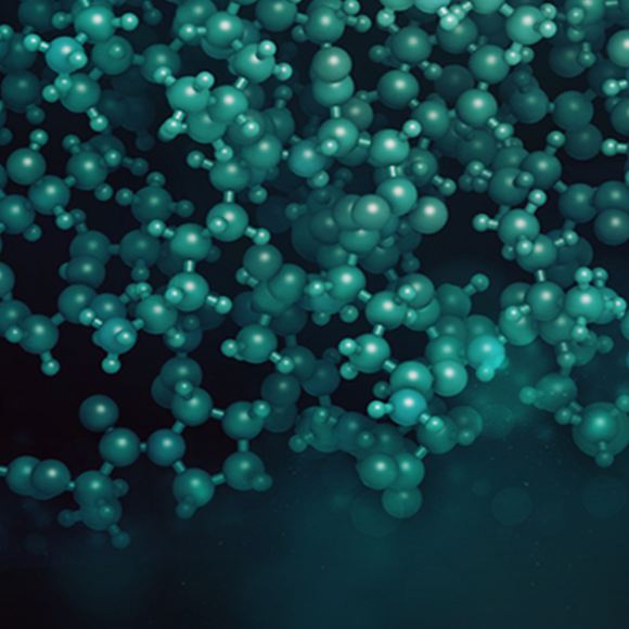 מיחזור חלבונים בתהליך קליטת הגלוקוז