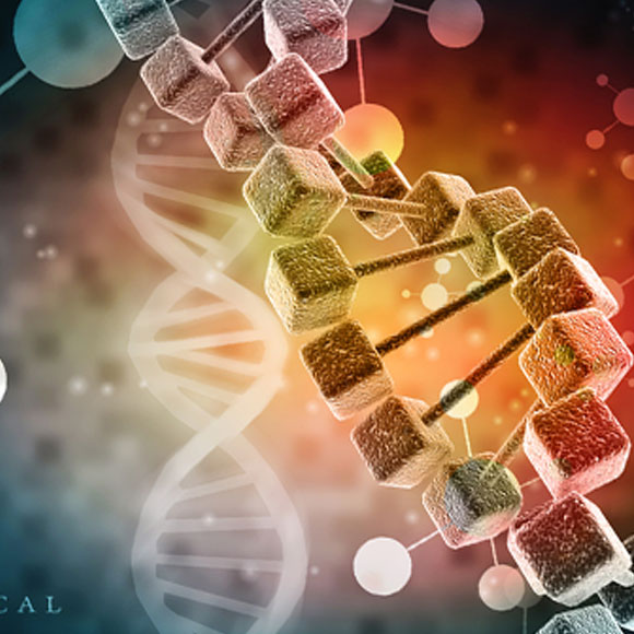 עיבוד RNA לפני התרגום