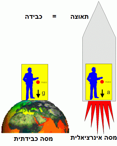 מהו עקרון השקילות כבידה-תאוצה? ולנטין