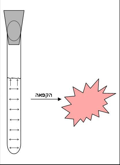 מדוע המבחנה (לא) מתפוצצת? חיה
