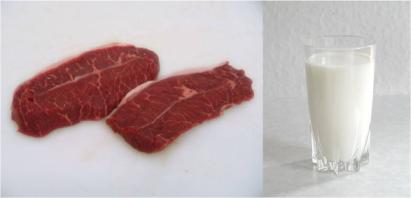 האם יש הסבר פיסיולוגי לאיסור אכילת בשר וחלב? איתי