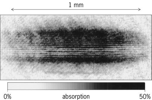 מהי התעבות בוז-איינשטיין והאם זהו מצב הצבירה החמישי (בנוסף למוצק, גז, נוזל ופלסמה)? דורון