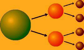 מהו הכח החלש?