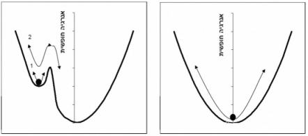 מהו מצב יציב (quazi- equilibrium) בתרמודינאמיקה ובמה הוא שונה משיווי המשקל עצמו? טל