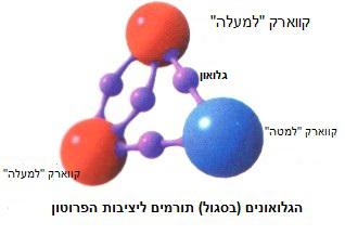 מהו גלואון?