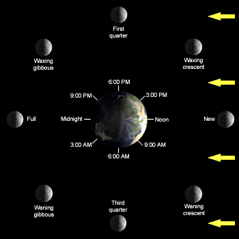 האם כל הכוכבים מסתובבים סביב עצמם? רוזי