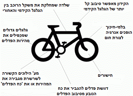 מהם הכוחות שמפעיל רוכב על אופניים? ומה מונע מהם ליפול? שמרית