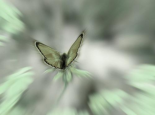 מהו כאוס? איך ניתן להגדירו ולהסבירו ואיפה ניתן למצוא אותו?