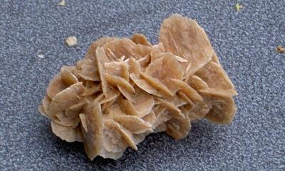 איזה סוג קריסטל זה שושנת המדבר? אדם