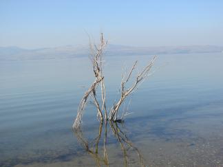 כיצד ניתן להתמודד עם משבר המים? דורון