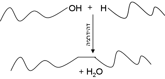 מהי תגובת דהידרציה (התייבשות)?