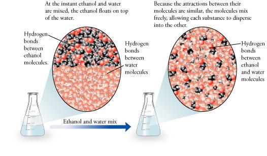 מדוע כאשר שמים מים וכוהל הם נפרדים ולא נוצרים ביניהם קשרי מימן? נסטיה