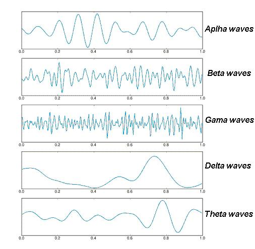 מהם גלי בטא וגאמא (במוח) והאם יש להם השפעה על מצב הרוח? בר