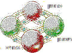 האם המזונים קושרים בין הניוטרונים והפרוטונים בגרעין? ואם כן, אז איך הם קושרים בינהם אם הם בעצמם האדרונים? רפאל
